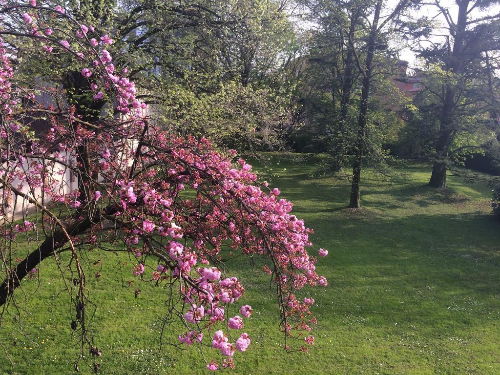 Il Cantelino Падуя Номер фото